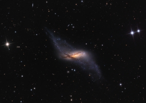 NGC 660 — прекрасный пример галактики с полярным кольцом — попала в фокус внимания «Хаббла».
