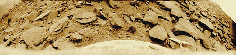 Фото 10. Панорама, переданная 22 октября 1975 года аппаратом &laquo;Венера-9&raquo; с поверхности  планеты, обработанная заново